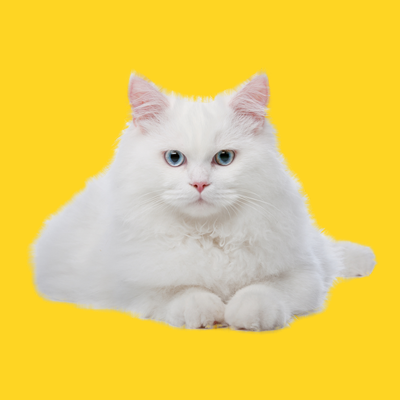 Косметика