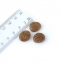 Activa Grain Free for dog, беззерновий корм для собак будь-якого віку з ягнятком, 1кг 0