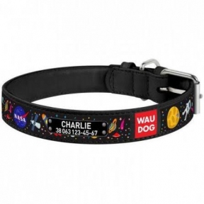 Collar WAUDOG Design нашийник з малюнком 