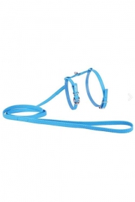 Collar Glamour Шлей кругла з повідцем бірюзова 42-60см/46-64см