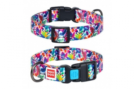  Collar WAUDOG Nylon нашийник з малюнком 