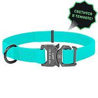 Collar WAUDOG Waterproof нашийник, що світиться, водостійкий, пряжка-фастекс( ш - 20мм, дл - 25-50мм