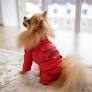 Dogs Bomba Дощовик кишеня червона 3