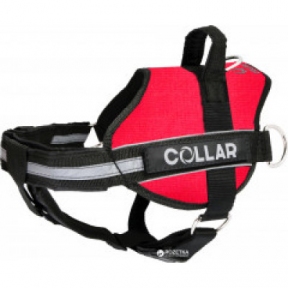 Collar Шлей для собак 
