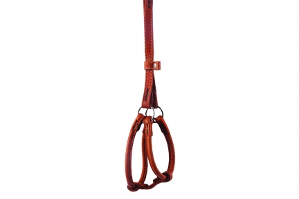 Collar SOFT Шлей та повідець кругла коричневий 6мм/115см 26-46/30-50 см