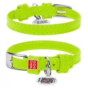  Collar Glamour нашийник без прикрас салатовий S 20мм 30-39см