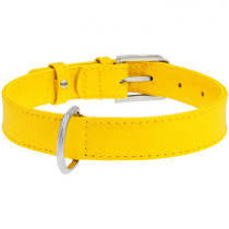 Collar Glamour нашийник без прикрас M 25мм 38-49см жовтий