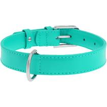 Collar Glamour нашийник без прикрас M 25мм 38-49см ментоловий