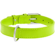 Collar Glamour нашийник без прикрас M 25мм 38-49см салатовий