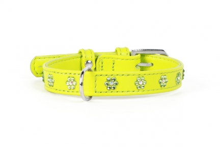 Collar Glamour нашийник з прикрас 