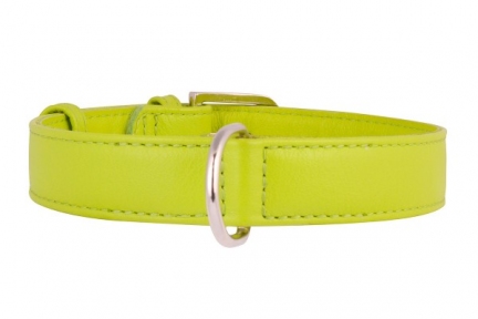 Collar Glamour нашийник без прикрас салатовий 35мм/46-60см