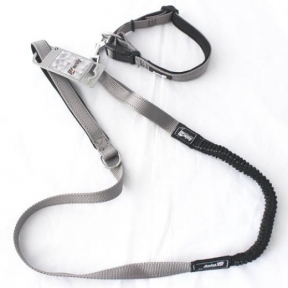 AnimAll повідець амортизатор+ нашийник GRAY 25*1200mm