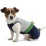 PetFashion костюм 