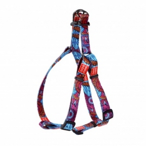  Collar WAUDOG Nylon шлейу з малюнком 