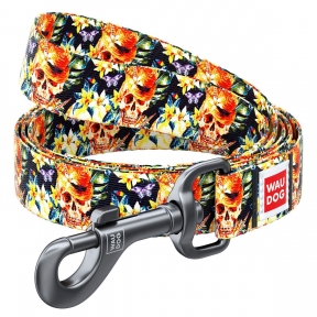  Collar WAUDOG Nylon повідець з малюнком 