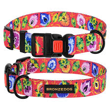 BronzeDog Folk нашийник для собак, квіти, з пластиковою пряжкою 43-66см/25мм, кораловий