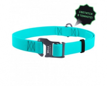 Collar WAUDOG Waterproof нашийник водостійкий, що світиться, пряжка-гачок, ( ш - 20мм, дл - 25-50мм)