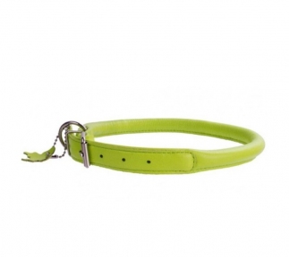 Collar Glamour ошийник круглий XS 25-33см салатовий