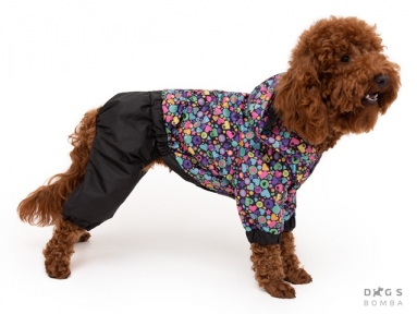 DOGS BOMBA Дощовик серця 5