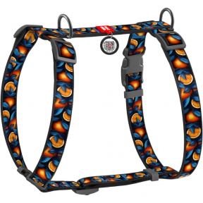 Collar WAUDOG Шля для собак 