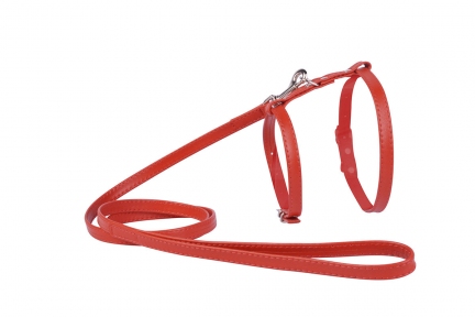 Collar Glamour шлейка та повідець червоний 9мм/20-30см/30-40см