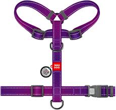 Collar WAUDOG Шля для собак 