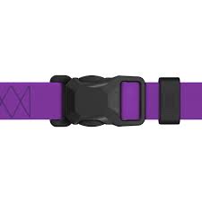 Collar WAUDOG нашийник Magnet водостійкий М ш-20мм дов-28-40 см фіолетовий