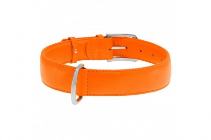 Collar Glamour нашийник без прикрас M 35мм 46-60см помаранчевий