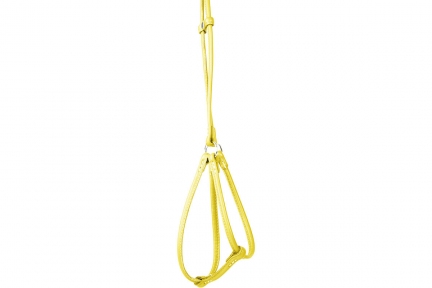 Collar Glamour Шлей кругла з повідцем жовта 42-60см/46-64см