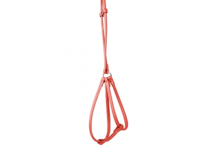 Collar Glamour Шлей кругла з повідцем помаранчевий 42-60см/46-64см