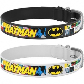  Collar WAUDOG Design нашийник з малюнком 
