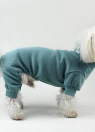 Dogs Bomba Костюм пильник небесний 6