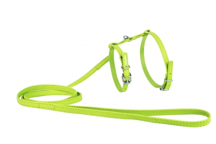Collar Glamour Шлей з повідцем зелений 25-35см/35-43см