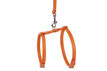 Collar Glamour шлей з поводком помаранчевий 20-30см/30-40см