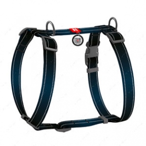 Collar WAUDOG Шля для собак 