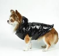 Dogs Bomba Жилет лакований чорний 8