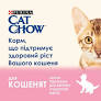 CAT CHOW Kitten. З ягням та цукіні в желе. Конс/кот 85г