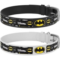 Collar WAUDOG Design нашийник з малюнком 
