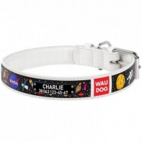  Collar WAUDOG Design нашийник з малюнком 