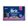 Brit Premium Cat Pouches риба для кошенят 100g