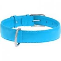 Collar Glamour нашийник без прикрас M 25мм 38-49см блакитний