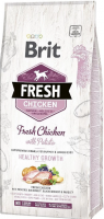 Акція Brit Fresh Holistic Chicken & Potato for puppy, сухий корм для цуценят, курка з картоплею, 2,5