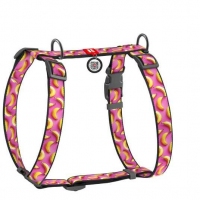 Collar WAUDOG Шля для собак 
