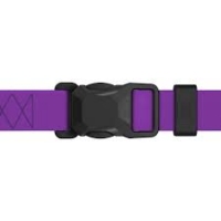  Collar WAUDOG нашийник Magnet водостійкий М ш-20мм дов-28-40 см фіолетовий