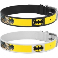  Collar WAUDOG Design нашийник з малюнком 
