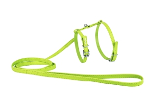 Collar Glamour Шлей з повідцем зелений 25-35см/35-43см