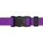  Collar WAUDOG нашийник Magnet водостійкий S ш-15мм дов-26-35 см фіолетовий