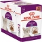 Royal Canin Sensory Feel in gravy, вологий корм для котів привіред за відчуттями, в соусі, 85g (12шт